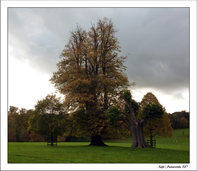 2010 - 10 - Stamford 30